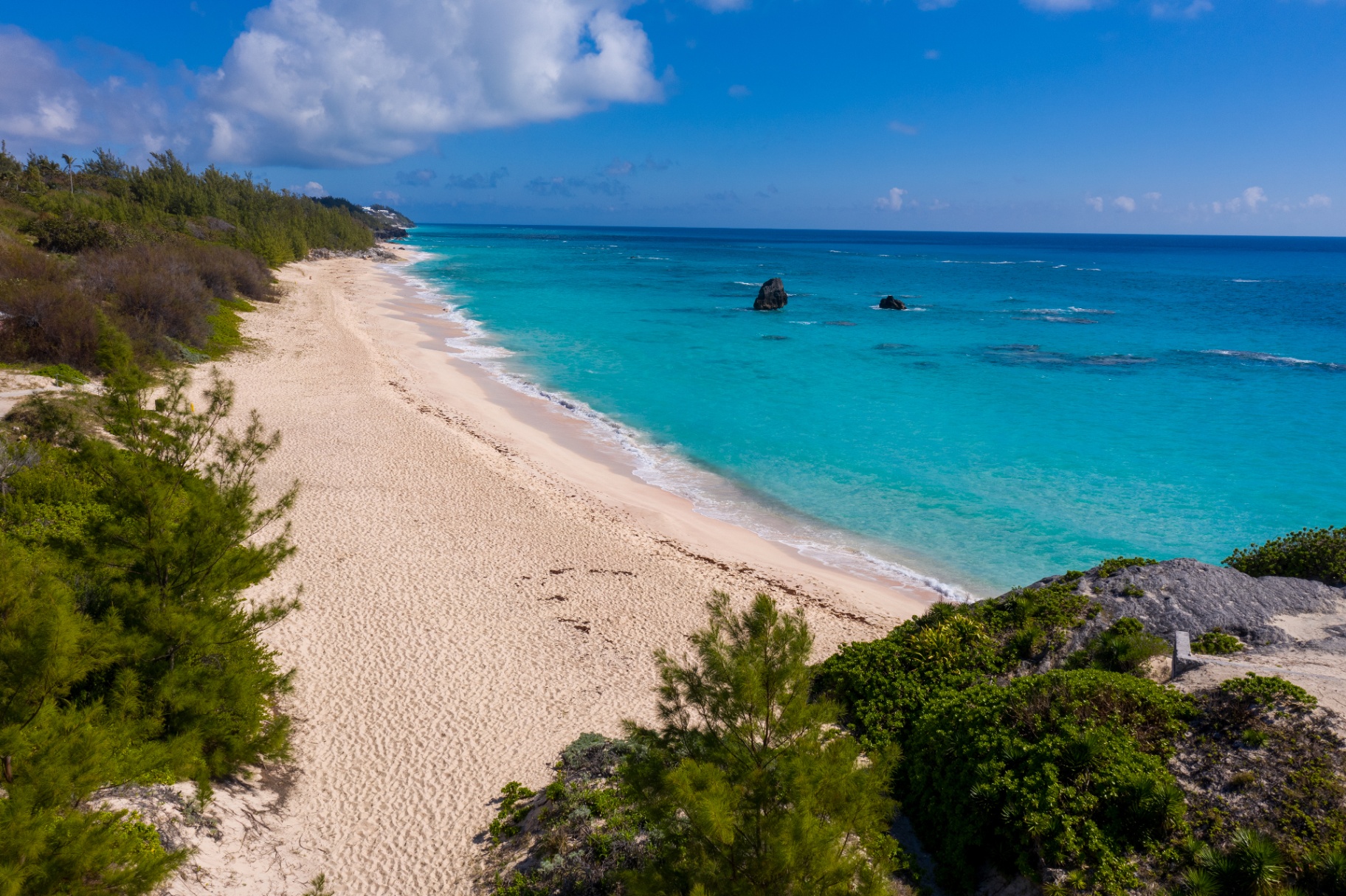 Pink sand beach in Bermuda with turquoise water